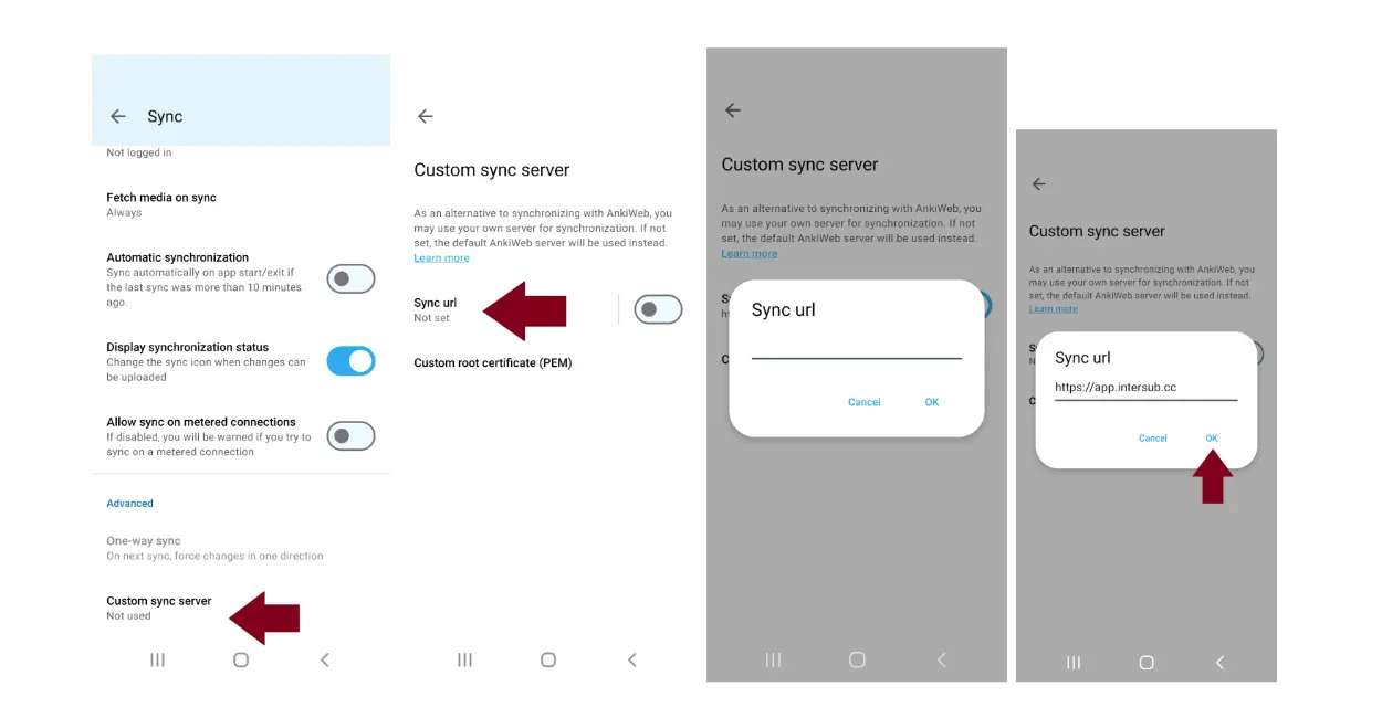 AnkiDroid: свой сервер синхронизации с адресом синхронизации InterSub