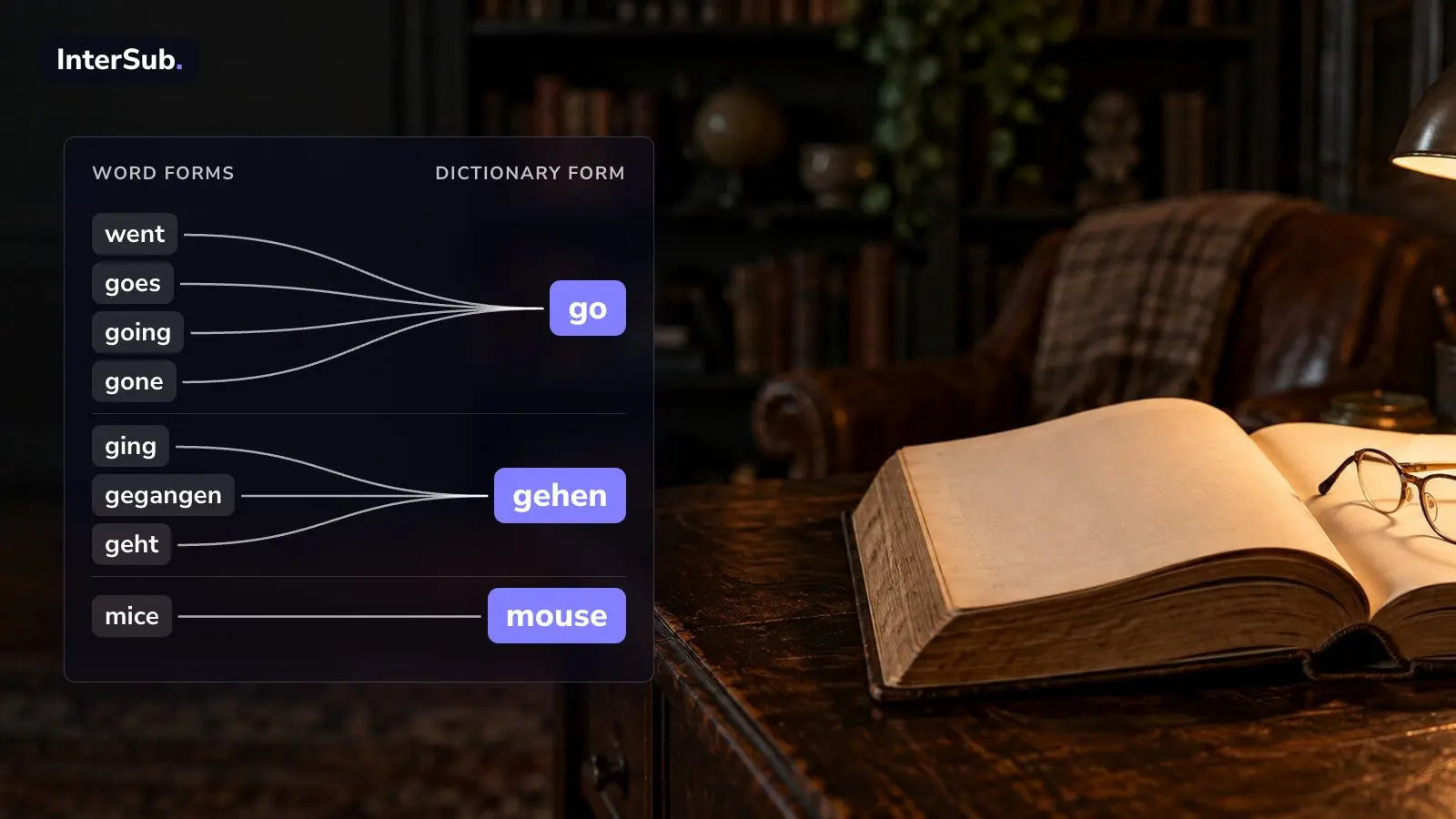 A diagram over a photo of an open dictionary: word forms went, goes, going, gone lead to go; ging, gegangen, geht to gehen; mice to mouse